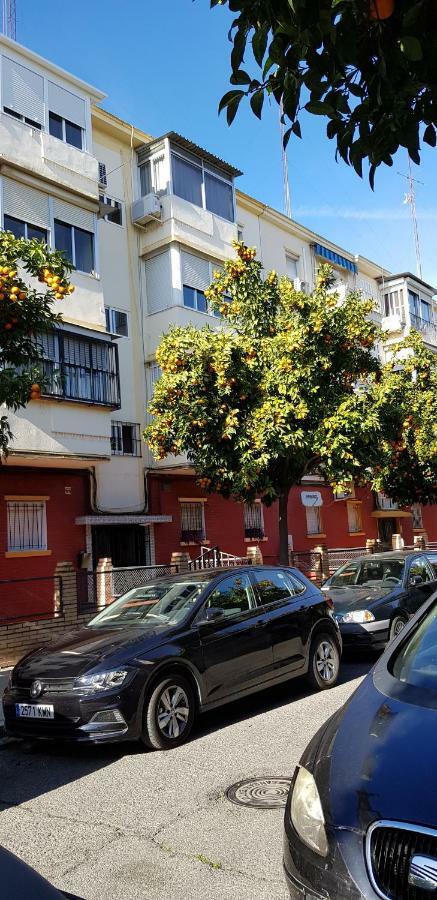 Sevilla Nervion Piso Con Patio المظهر الخارجي الصورة