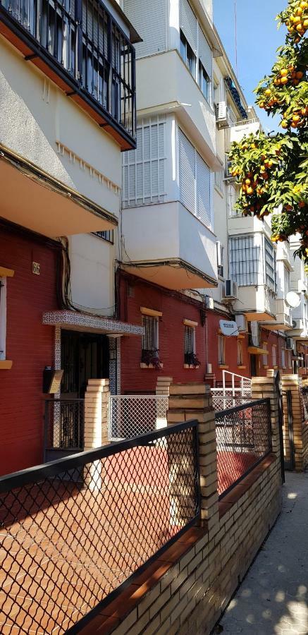 Sevilla Nervion Piso Con Patio المظهر الخارجي الصورة